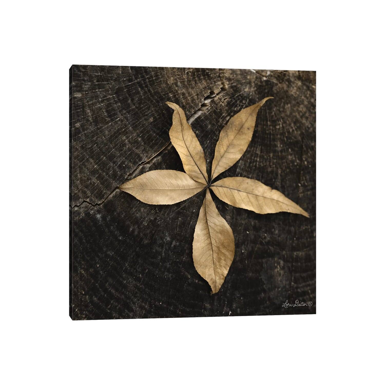 iCanvas "Natural Buckeye Leaf" by Lori Deiter Canvas Print - Bed Bath